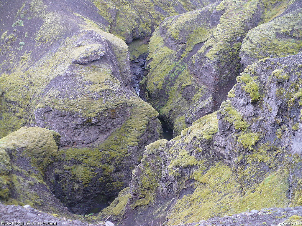 kuvat/P1010401.JPG