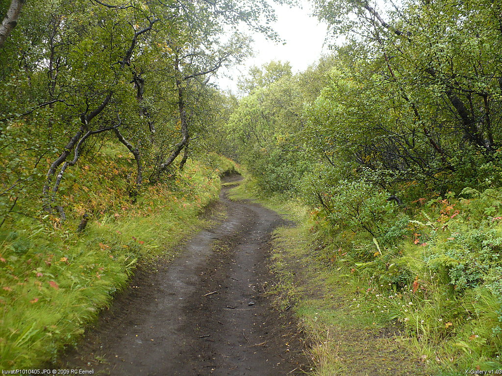 kuvat/P1010405.JPG